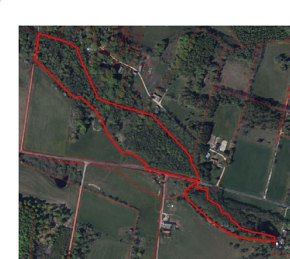 Utebliven hävd av rikkärret eller fuktängen. Dikning av kärr eller lövsumpskog.