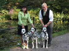 [referens] Kennel Jillocs Florence och Rune Brunberg Johansen. Kennel Jillocs har med sina uppfödningar vunnit i princip allt man kan vinna i utställningsväg.