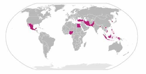 N-11 (the next 11) Bangladesh, Egypten, Indonesien, Iran,