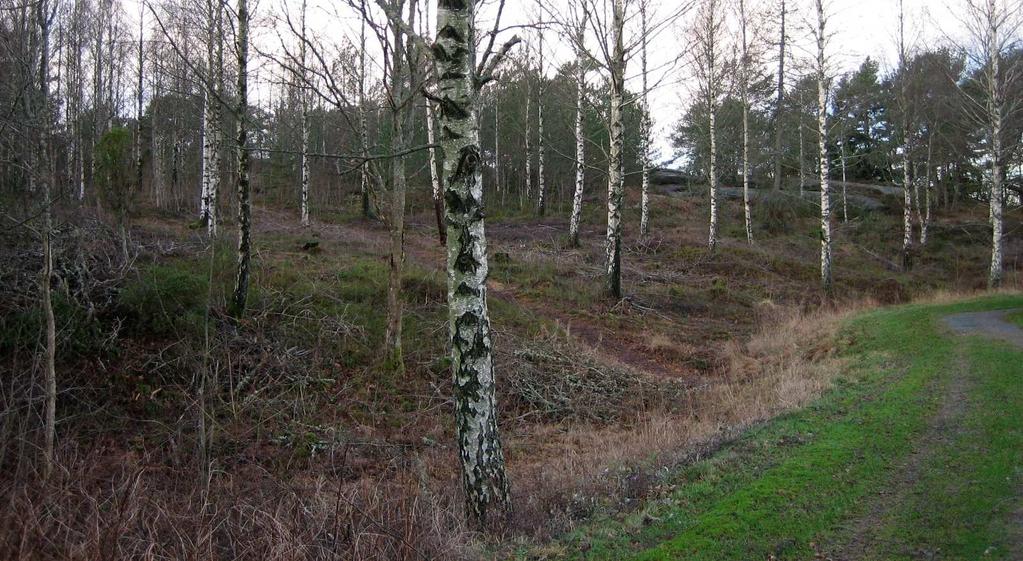 En eventuell nybyggnad kan eventuellt innebära viss påverkan under byggnadstiden på den ädellövskog som kantar den närliggande bergsknallen.