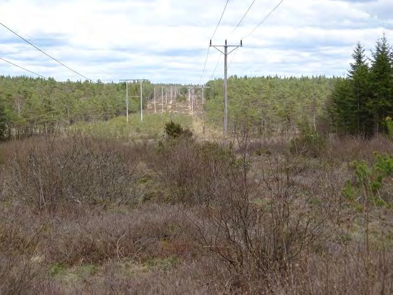 1,2 km väster om parallellt med befintlig 40 kv-ledning och befintlig 140 kv-ledning fram till transformatorstation Tranemo, se Figur 10.