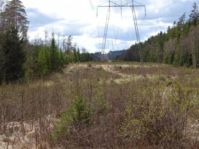 Foto taget längs befinltig 400 kv-ledning, vid vinkelpunkten strax nordost om Stuvered.