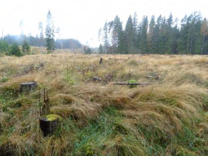 Figur 18. Fotona tagna längs sträckan från befintlig 400 kv-ledning mellan Stuvered och Hestra ner till strax norr om Todde.
