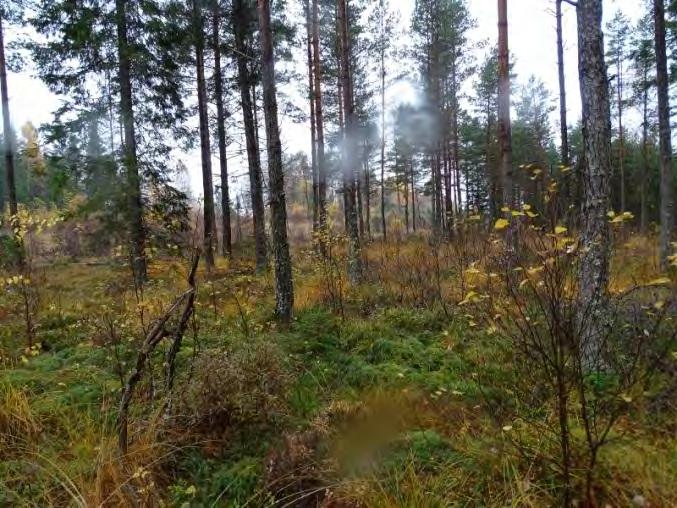 Förordad sträckning sträcker sig genom landskapet i riktning från sydväst mot nordost och följer till stor del intill befintliga ledningar.