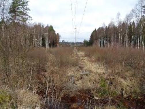 Våtmarker och sumpskogar Sumpskogar och våtmarkers hydrologiska funktion kan påverkas negativt då högre vegetation inom kraftledningsgatan tas bort och förändrar biotopens karaktär.