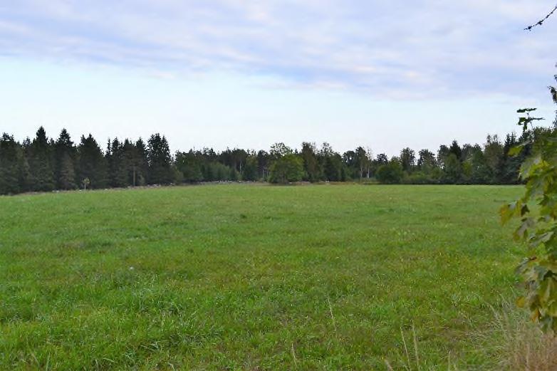 Inägomark Åkermarken ligger väl samlat runt gårdscentrumet. Inägomarken uppgår till 6,6 ha åker. Stödrätter finns ej.