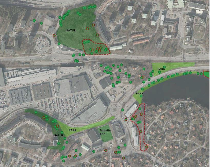 Figur 5-4. Natur- och parkmark inom Sickla-Planiaområdet. Rödmarkerade träd motsvarar naturvärdesträd med potentiella bärare av rödlistade arter, grönmarkerade träd motsvarar naturvärdesträd.