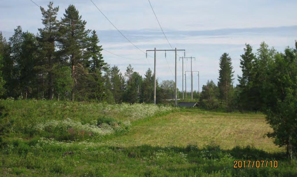 bort en trippel ledningsstolpe, Allt detta mitt i Kangos by.
