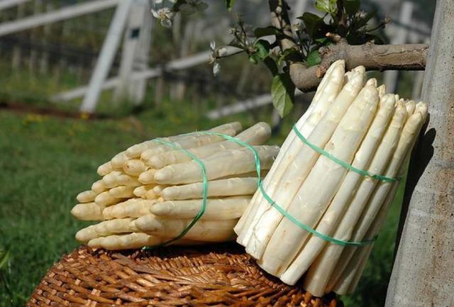 Vad händer i Italien 2016 Italien är ett land som sedan urminnes tider är känt för alla sina magnifika byggnadsverk, konstnärer och sin goda mat & vin!