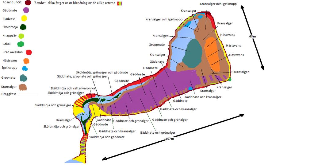 Damm 6 och bäck mellan damm 5 och 6 Bäcken är till stor del täckt av antingen bladvass eller bredkaveldun. Korsandmat är ganska rikligt och det finns även gäddnate.