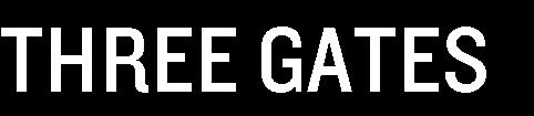 Date: Analysts: Markus Augustsson, Jarl Securities Three Gates (TG eller bolaget) är en mindre spelutvecklare från Gotland.