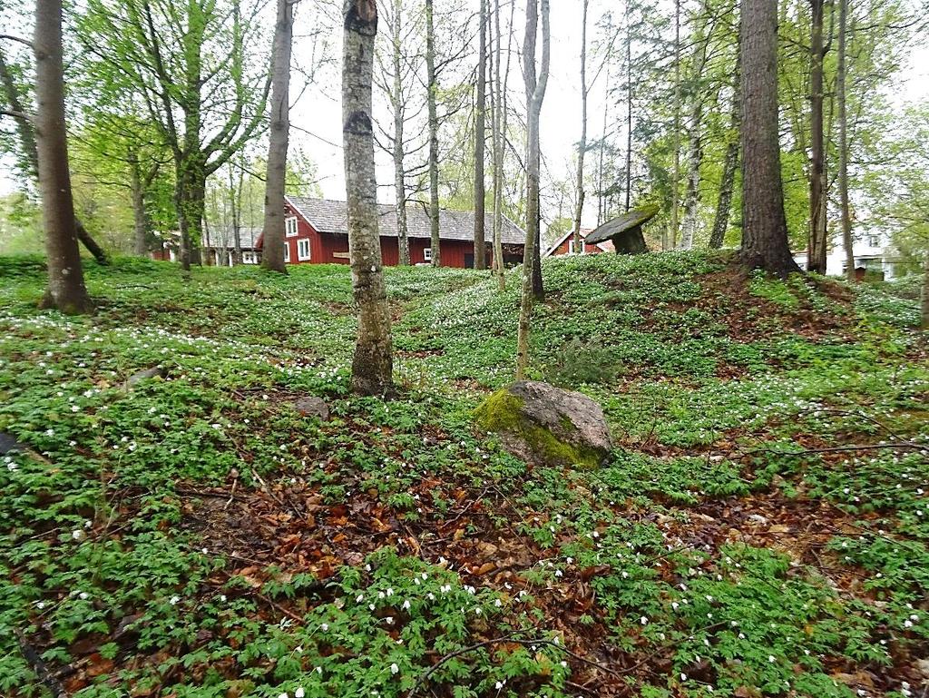 Direkt öster om cirkulationsplatsen finns ett område vilket utpekas som ett möjligt boplatsläge med anledning av närheten till gravfält.