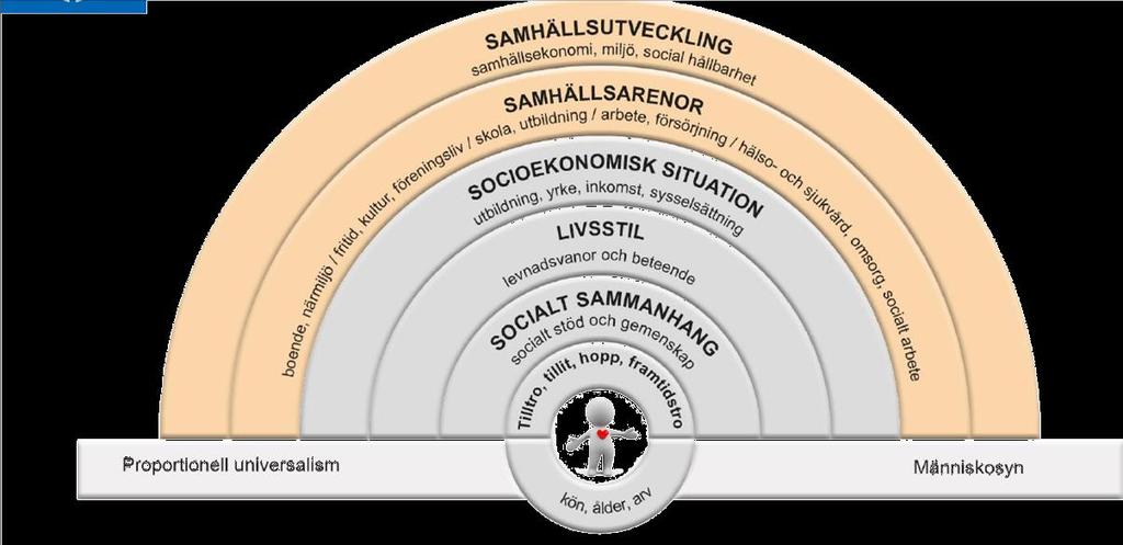 Hälsans bestämningsfaktorer