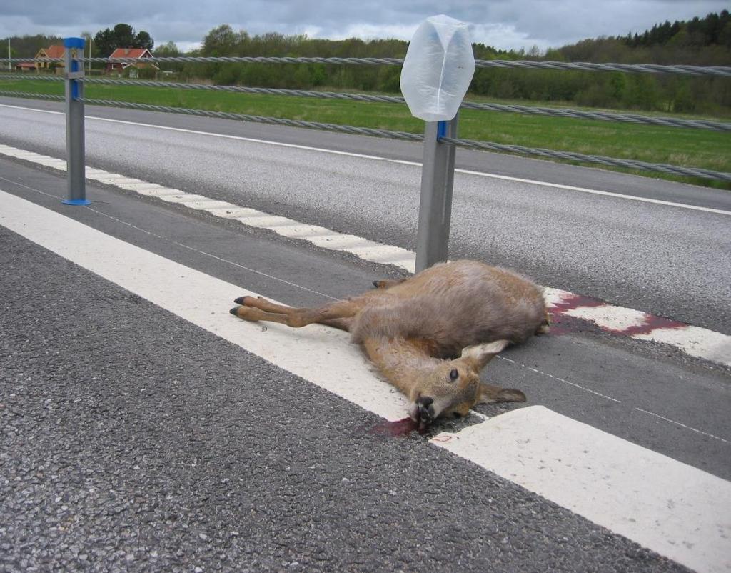 åtgärdsförslag Östergötland
