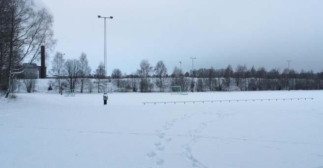 Delar av planområdet består av en gräsbeklädd fotbollsplan. Inga betydande naturvärden finns.