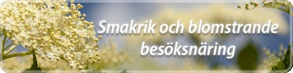 För mer information, kontakta projektledaren för satsningen Smakrik och blomstrande besöksnäring : Elisabeth