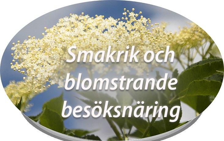 Rådgivning för ett lönsammare besöksföretag Nu kan du som har ett besöksföretag på landsbygden i Västmanlands, Uppsala,