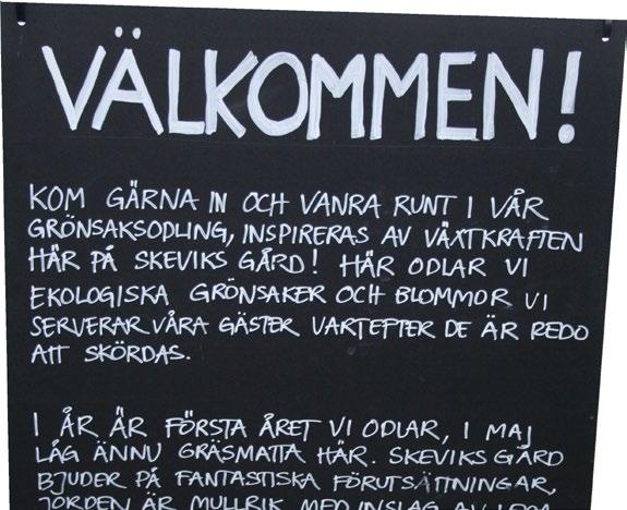 Att bjuda på sig själv och den unika berättelsen. Att få råd om att förmedla företagets historier. I text, video eller som muntligt berättande?