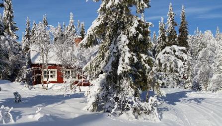 Fyra gubbar på spåret Vi var fyra skidåkare från ettusen talet. Men i år hade skidorna vilat i brist på åkarnas kondition. I början av februari lastades alla våra skidor och alla skidkläder i bilen.
