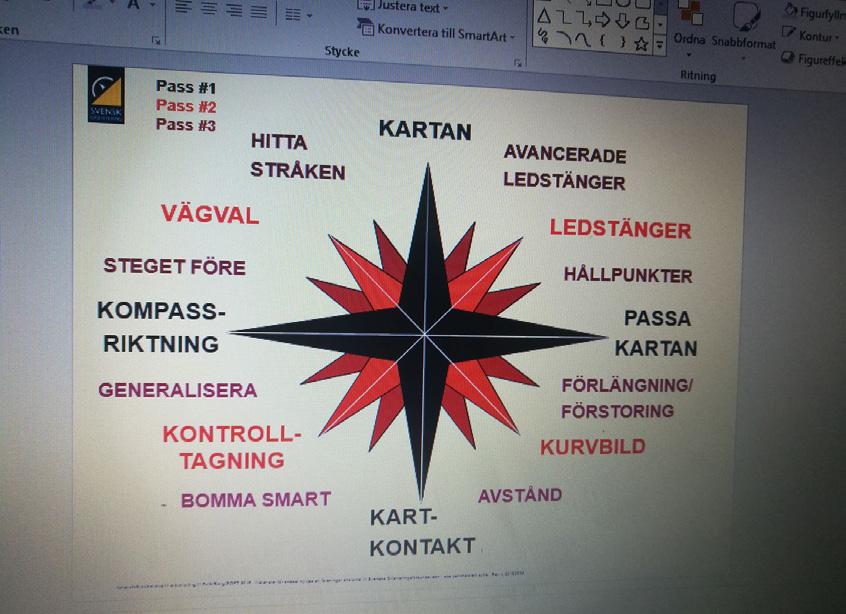 Det har varit en rolig vår för NOK. Två lyckade nybörjarkurser, för vuxna och barn, har fyllt på medlemsantalet och antalet orienterare i Norberg.
