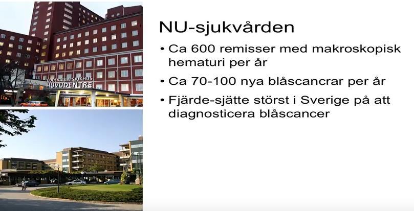 One-stop-clinic Ett exempel på en effektiv vårdkedja på