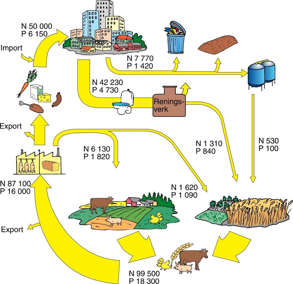 Växtnäringsflöden livsmedelskedjan Fig: