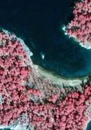 11 Strandmiljöer från när och fjärran Strandäng vid Östersjön