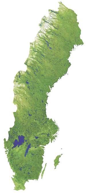 Eftersom skogs marken följs noggrant genom Riksskogs taxeringen ligger nils-rutorna glesare i det norrländska skogs land skapet och tätare i områden med mycket jord bruks mark.