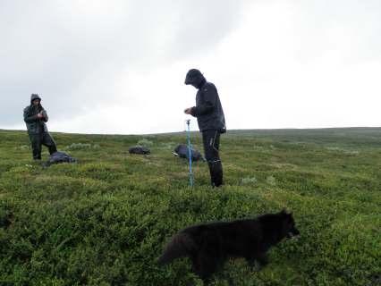 MOTH Demon stration of an integrated North-European system for Monitoring Terrestrial Habitats 5 Gitterpunkter utlagda över infraröd flygbild.