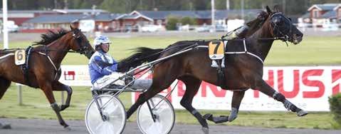 Leif vann själv med Charmante Amok efter att ha fått överta täten från stallkamraten Cash Lady i den första kurvan.