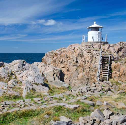 Här upplever du ett helt unikt växt- och djurliv, allt förklarat och satt i sitt sammanhang på besökscentret naturum Kullaberg längst ut på halvön vid Kullens fyr.