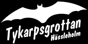 Här nere, 12 meter under jord, har pigor och drängar brutit den värdefulla och användbara kalkstenen under århundraden.