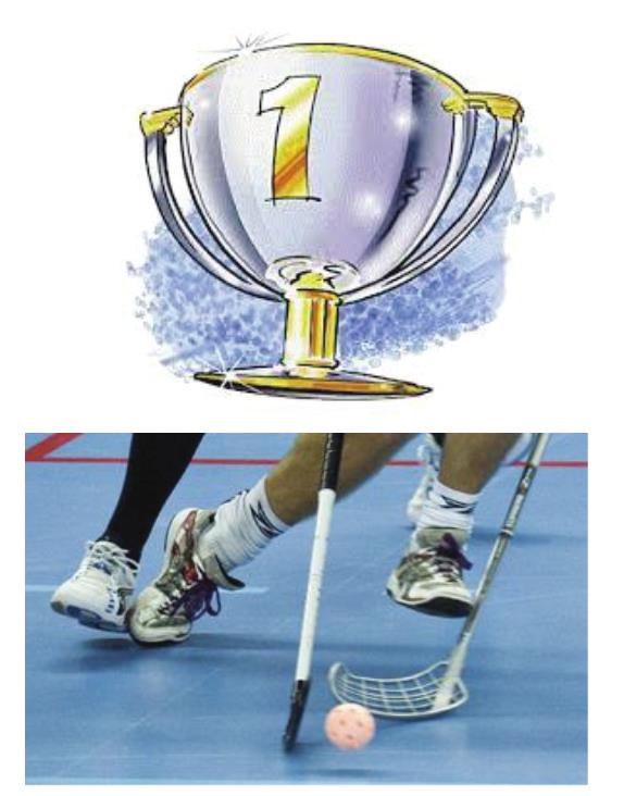 se senast 29 oktober PROVA-PÅ-DAGAR HÖSTLOVET 2018 Carlshamns Innebandy erbjuder även olika prova-på-dagar under