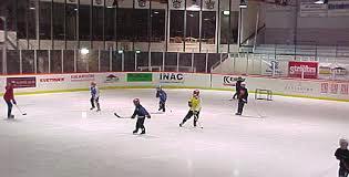 sporrsköldpaddan.