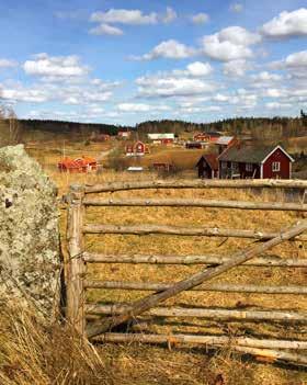 ÅTERRAPPORTERINGSKRAV Strategi för odlingslandskapets biologiska mångfald Jordbruksverket, Naturvårdsverket, Riksantikvarieämbetet och länsstyrelserna arbetar tillsammans med att ta fram en strategi