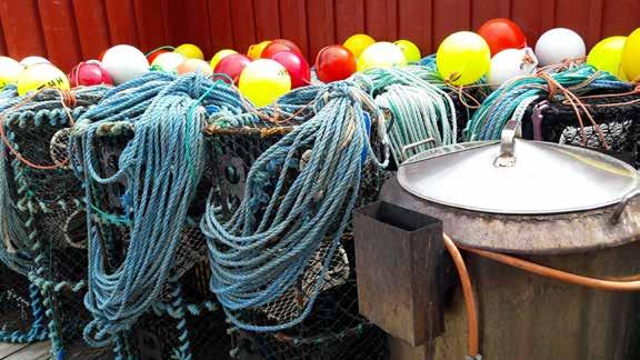 UTVECKLINGEN INOM JORDBRUK OCH FISKE Foto: Camilla Burman Utvecklingen inom fiskeri och vattenbruk Svenskt yrkesfiske i havet styrs i hög grad av de fångstkvoter som fastställs utifrån