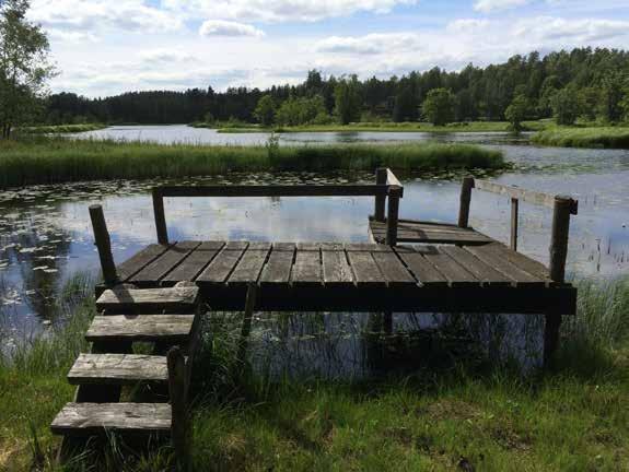 DYNAMISKT OCH KONKURRENS KRAFTIGT NÄRINGSLIV SOM PRÄGLAS AV ÖPPENHET OCH MÅNGFALD Foto: Fari Sah Analyser och utredningsverksamhet En viktig roll för Jordbruksverket är att genomföra och redovisa