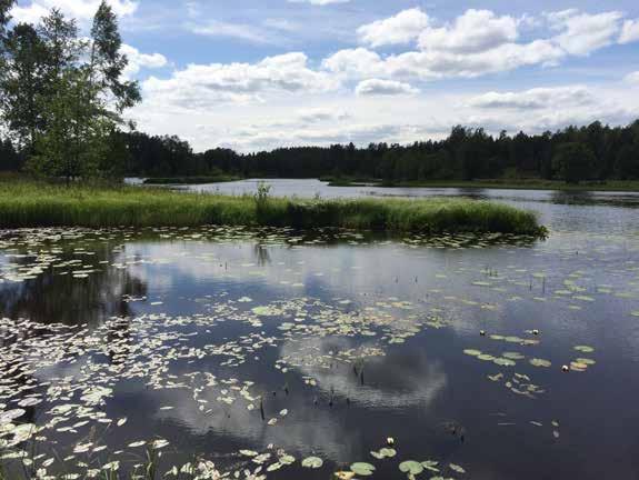 MILJÖ- OCH RESURSEFFEKTIVA GRÖNA NÄRINGAR Foto: Fari Sah Vårt arbete för miljö- och resurseffektiva gröna näringar Livsmedelsproduktionen kan påverka miljön positivt, exempelvis genom att ge oss ett