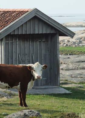 ÅTERRAPPORTERINGSKRAV Lantbrukarnas Riksförbund varit projektledare.