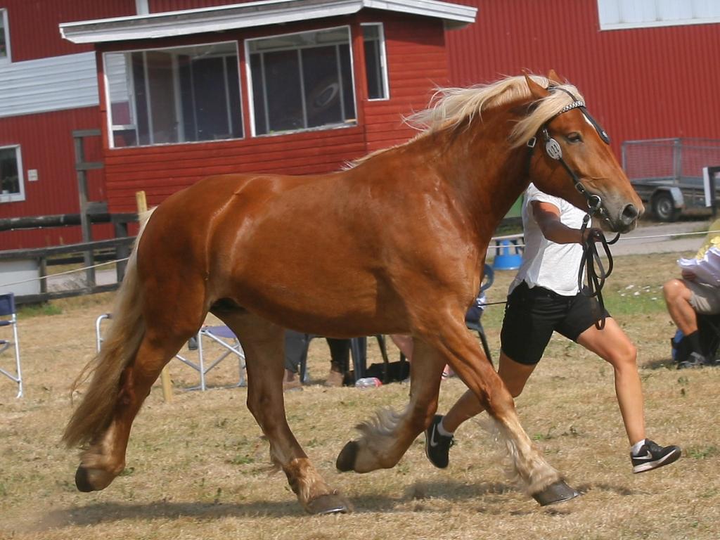 Ztorma