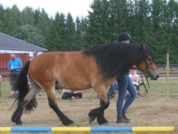 Idun