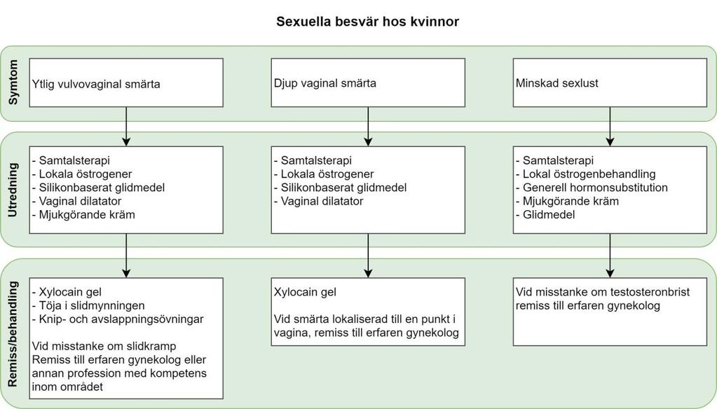 4.2.2 Översikt 4.2.3 Generell information till patienten Kvinnan och hennes eventuella partner kan behöva undervisning om den förändrade anatomin, gärna med hjälp av teckningar och råd kring