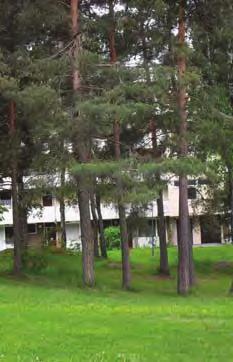 Parkområdet är långsträckt och innehåller stora kortklippta gräsytor med större träd.
