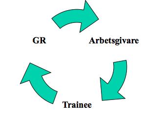 Programplanering Traineetiden bör innehålla följande: Aktivt deltagande i förvaltningens verksamheter på olika nivåer, avdelningsmöte såväl som kommun/ ledningsgruppmöte.