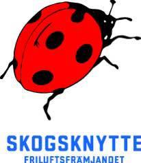 Barnfriluftsskolor 3-4 år Förskolor (1-5 år) 5-6 år 7-9 år Låt ditt barn ha roligt utan alla förbestämda leksaker och lekutrustningar ute i naturen.