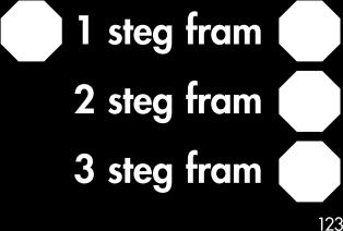 Ekipaget går tre steg framåt, föraren stannar och hunden sätter sig vid förarens sida.