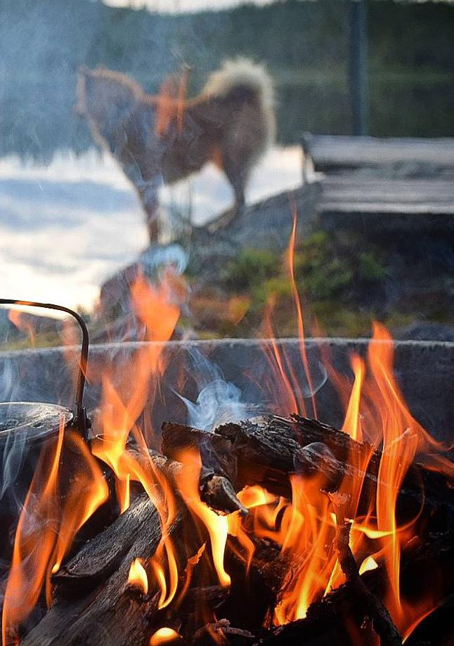 MANUSSTOPP FÖR STÅNDSKALL 2018 NR Nr 3 Nr 4 SISTA MANUSDAG 10 augusti 10 november Manus skickas via e-post till Kaj Ekroos: standskall.kaj@gmail.
