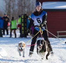 dessutom ger du även din hund ett bra och välmående liv.