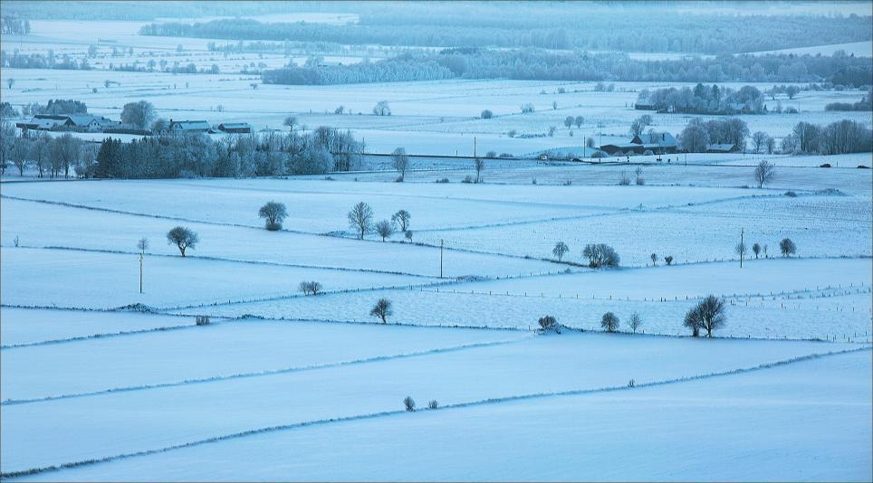 Bildtitel: Frosen.