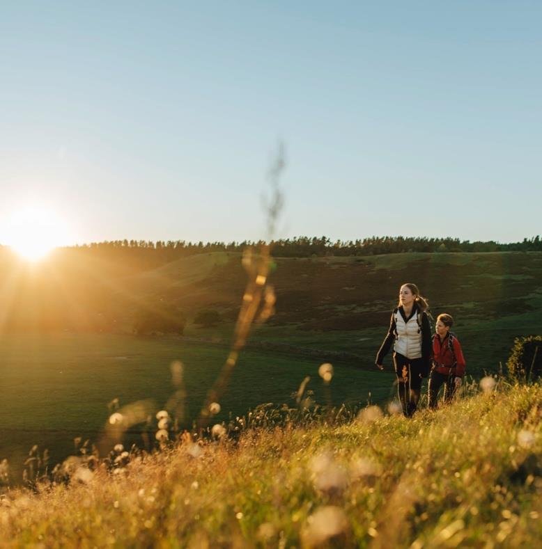 DELSTRATEGI Destinationsutveckling Attraktiva upplevelseikoner Genom att satsa på att attrahera och utveckla starka upplevelseikoner som fungerar som dragare, höjs Skånes attraktionskraft och når nya